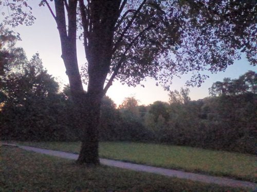 Обложка теста Какое ты щп