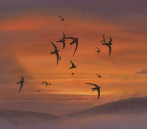 Обложка теста Какое животное описывает твою любовь?