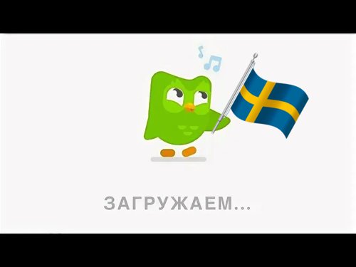 Обложка теста Какой ты дуолинго?