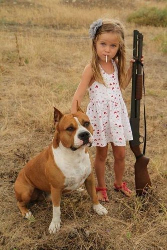 Обложка теста тттест