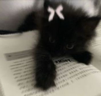 Обложка теста какая вы ревность