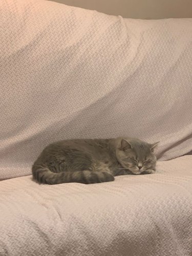 Обложка теста В каком спокойствии вы нуждаетесь?