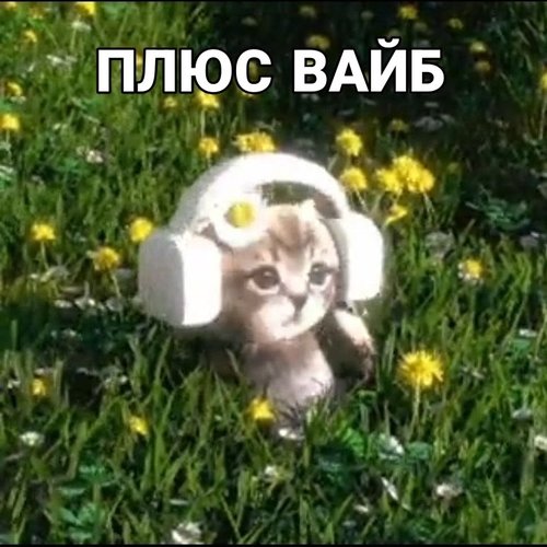 Обложка теста Какой ты мем