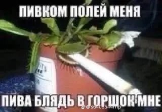 Обложка теста Кто вы из моего окружения!!