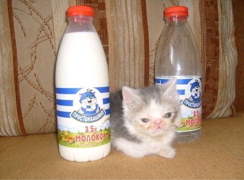 Обложка теста бросать ли своего парня?