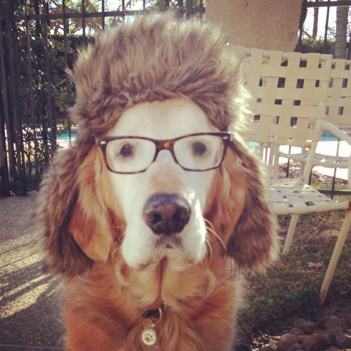 Обложка теста Полномочия Правительства Российской Федерации