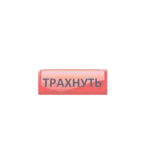 Обложка теста Кто ты из моих питомцев