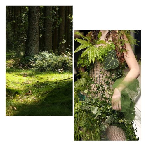 Обложка теста каков твой мир из девяти миров скандинавской мифологии?