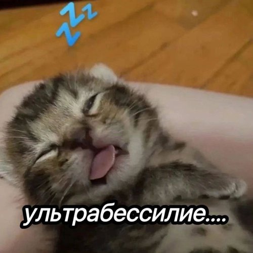 Обложка теста какой вы тип человека на физре