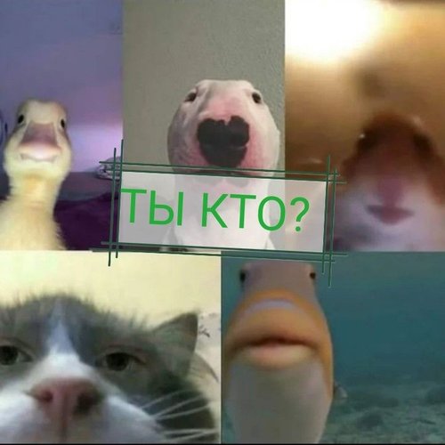 Обложка теста Кто ты из компании? 