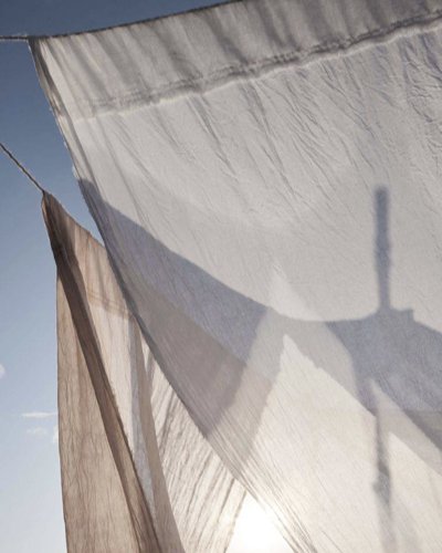 Обложка теста Какой ты ветер?