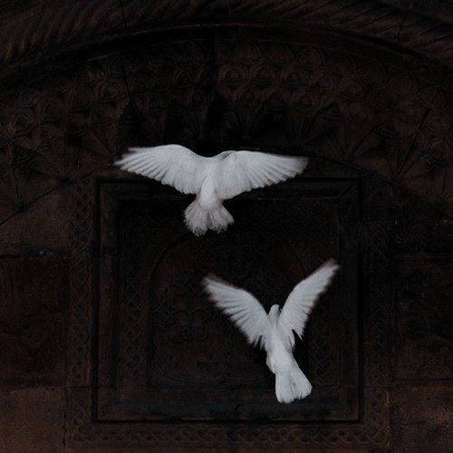 Обложка теста Какой вы персонаж из моего сеттинга «Концепция познания»? 