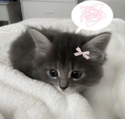 Обложка теста Расскажи мне немного о себе плиз ☻