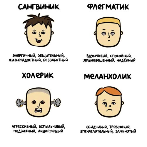 Обложка теста Флегматик, меланхолик, сангвиник, холерик