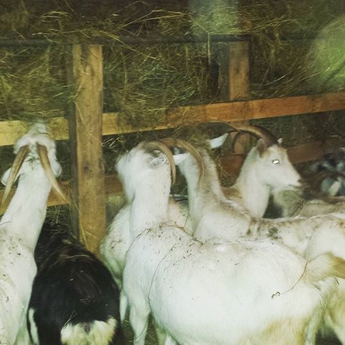 Обложка теста Вы как не совсем очевидный метод пыток