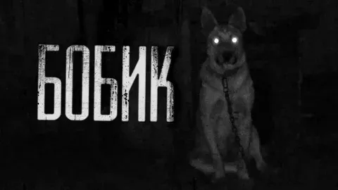 Обложка теста Бобик ли ты?