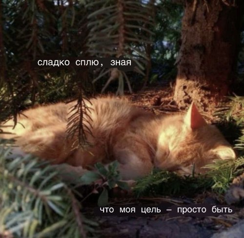 Обложка теста привет. поболтаем?