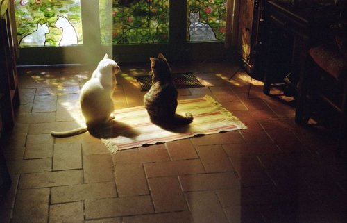 Обложка теста ты как способ поддержки