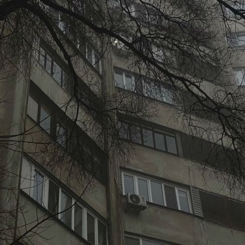 Обложка теста какой ты тип тишины?