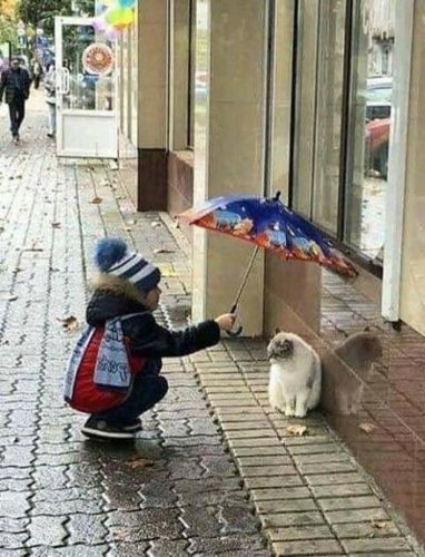 Обложка теста почему тебя любят люди?