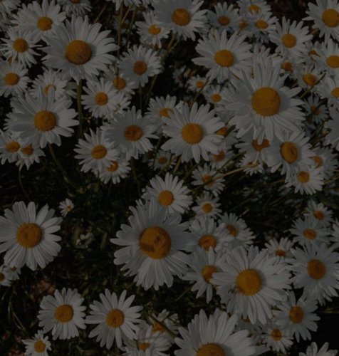 Обложка теста Как хорошо ты меня знаешь