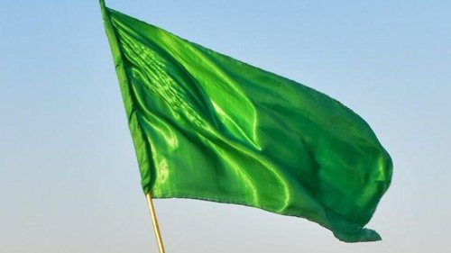 Обложка теста Какой у тебя грин флаг?