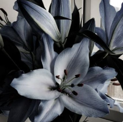 Обложка теста какая ты вещь из моей комнаты