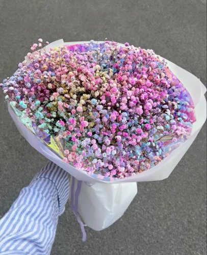 Обложка теста Какой вы цветочек?