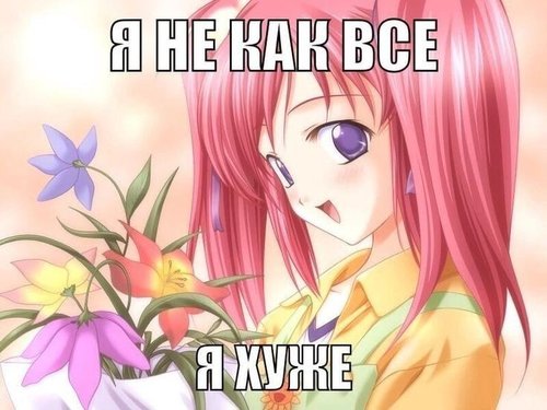 Обложка теста Какой вы мем с тянками?