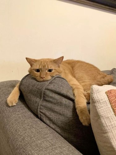 Обложка теста отпустили ли вы человека?