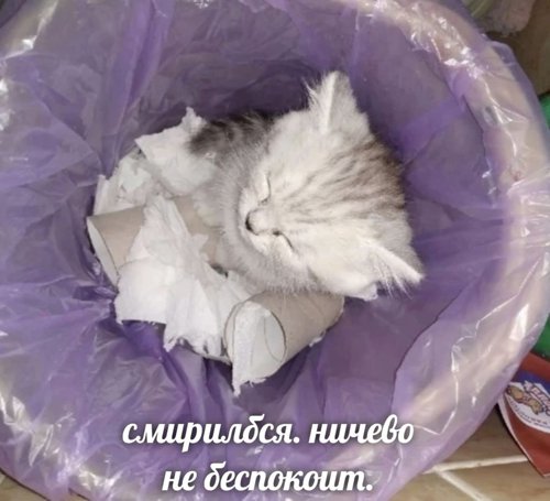 Обложка теста кто вы из кф obsession 