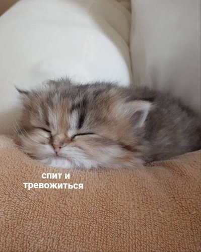 Обложка теста К какому типу подростков ты относишься?