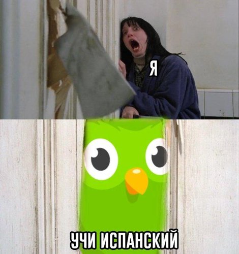 Обложка теста Кто ты из мемов?