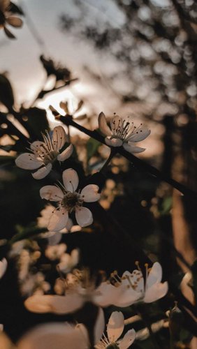 Обложка теста Какой ты на вкус?