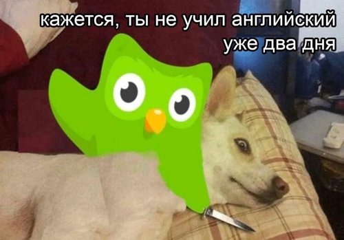 Обложка теста Знаешь ли ты меня?