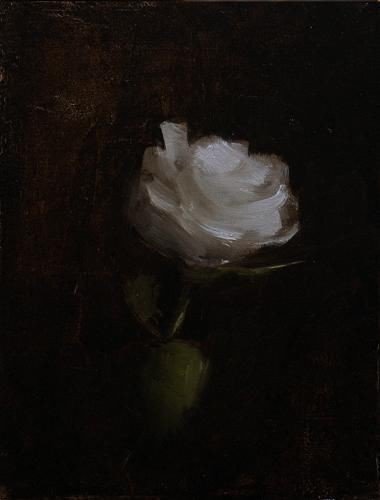 Обложка теста Что было бы с растением, если бы вы заботились о нём как о себе?