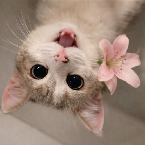 Обложка теста Какой рисунок вам по душе? 