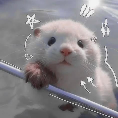 Обложка теста какая вы ревность