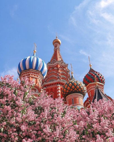 Обложка теста Какая национальность у твоих манер?