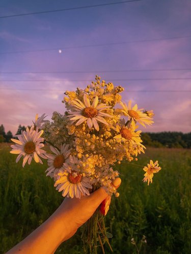 Обложка теста Кто ты из цветков🌺
