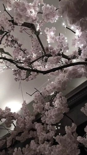 Обложка теста Насколько у тебя сломана психика