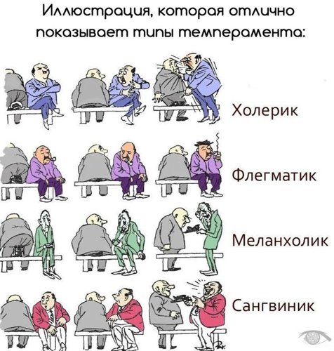 Обложка теста флегматик,холерик,меланхолик или сангвиник?