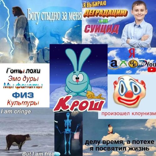 Обложка теста твой кин из смешариков, но я трущебный психоаналитик