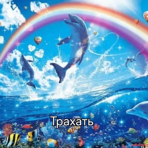 Обложка теста кто ты из педиков