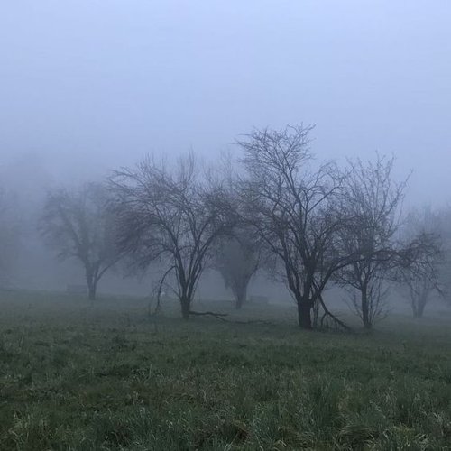 Обложка теста Чем пахнет ваше детство