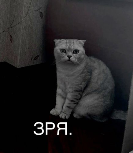 Обложка теста вы как моё событие из жизни