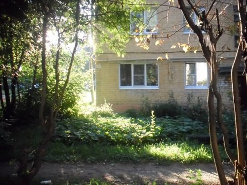 Обложка теста Где тебе было суждено родиться?