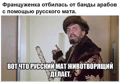 Обложка теста ты еблан