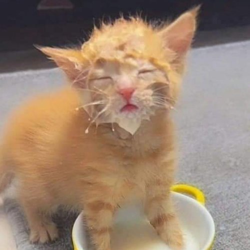 Обложка теста Тест на уровень девиантности в семейной среде