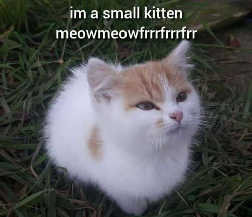 Обложка теста Наиболее комфортный вам эннеатип